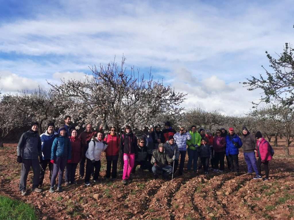 Visita a los almendros en flor de Herrera en 2024